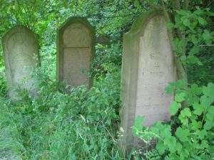 בית הקברות בסטרה צ'ורטקוב סבך צמחיה