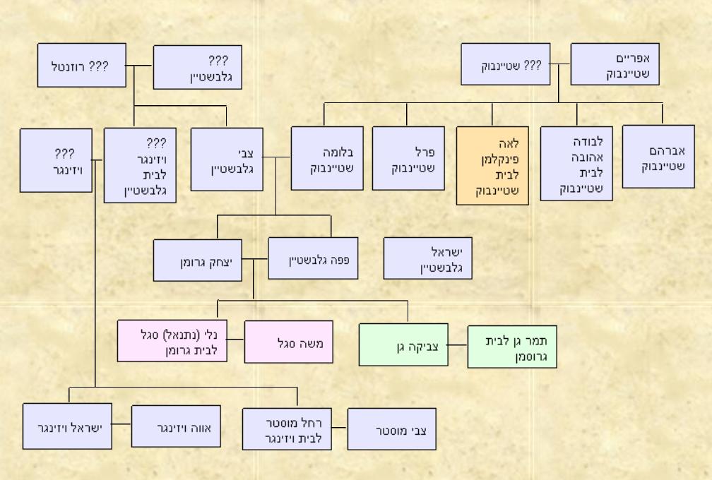 עץ משפחות גלבשטיין שטיינבוך