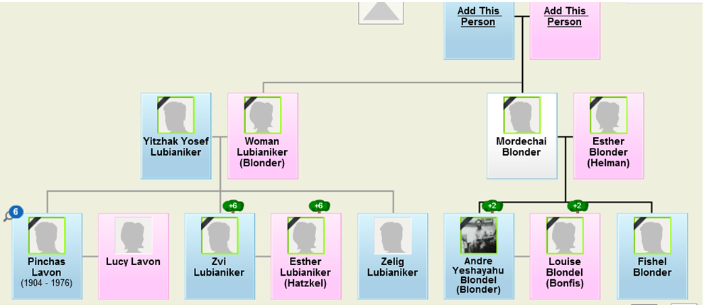עץ משפחת בלונדר לוביאניקר